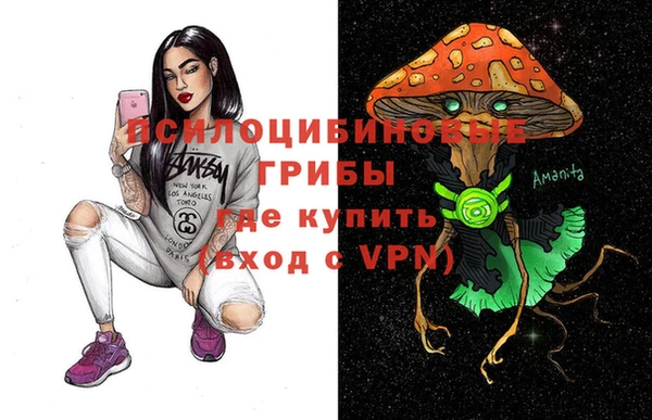 МДМА Богородицк