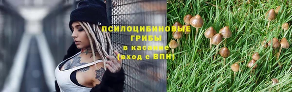 а пвп мука Богородск